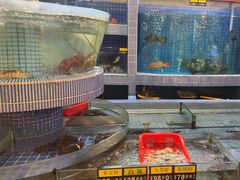 -福满园大酒楼(梅林店)