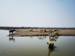 -宁波杭州湾国家湿地公园