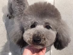 -宠颐生嘉德动物医院