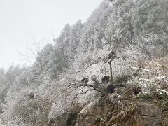 -太阳湾风景区