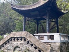 -国家植物园南园