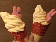芒小芝-麦当劳(石家庄乐活广场店)