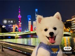 -上海月湖雕塑公园