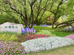 -海淀公园