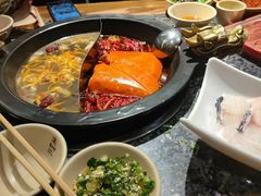 -蜀大侠火锅(建设路第五大道店)