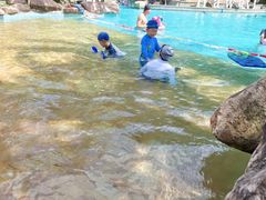 -杭州千岛湖开元度假村