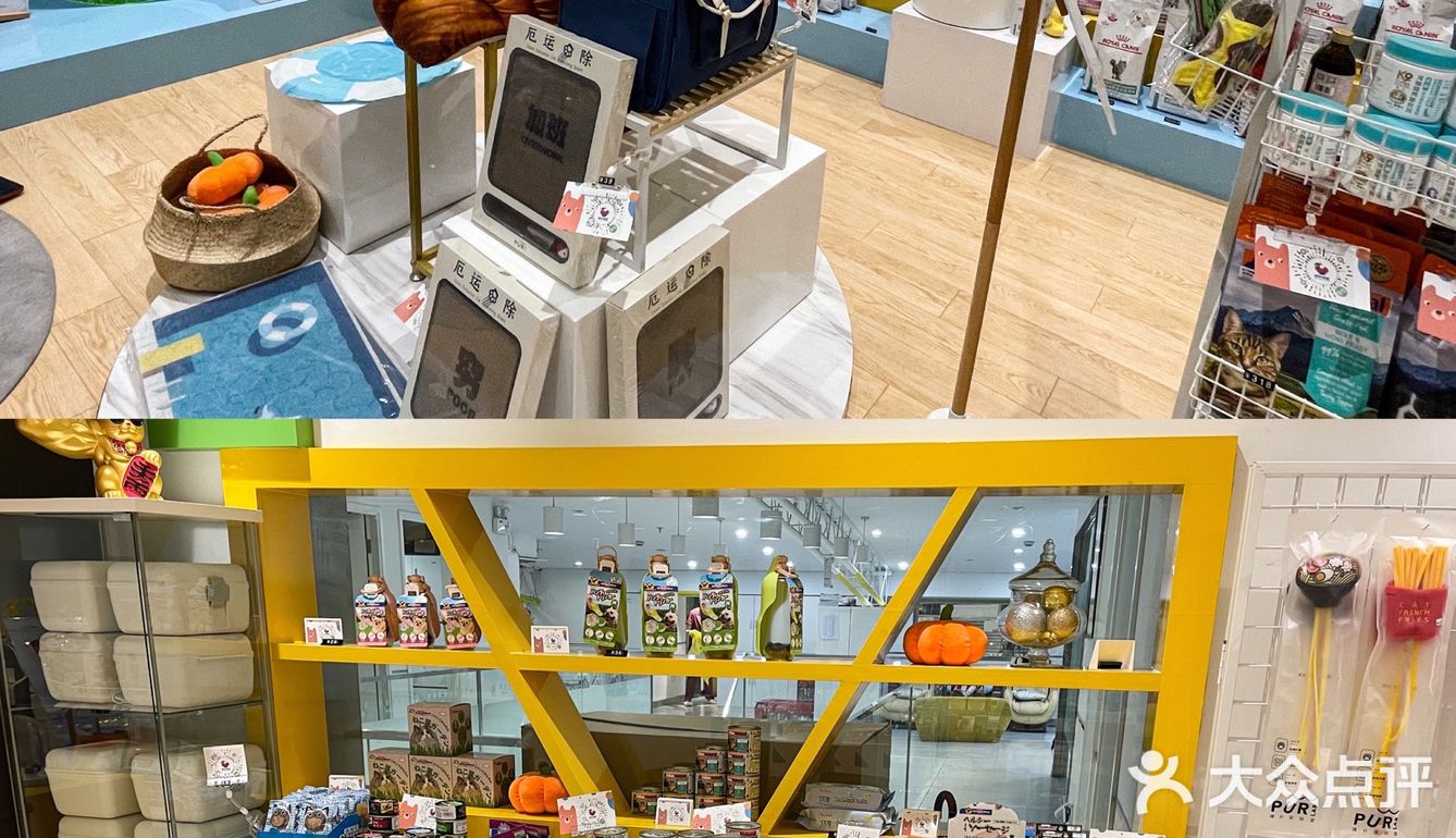 魔都贴心萌宠｜家有萌宠的呵护之旅