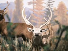 -陕西自然博物馆