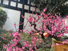 -成都杜甫草堂博物馆