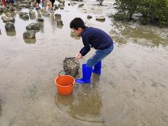 -红树林天天赶海
