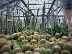 -中国科学院华南植物园