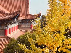 -开福禅寺