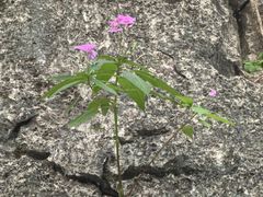 -桂林独秀峰王城景区