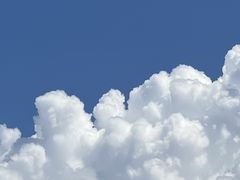 -福田红树林生态公园