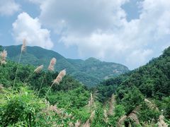 -石台牯牛降景区