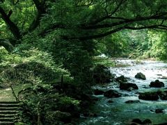 -广州市石门国家森林公园