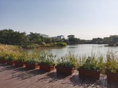 -福田红树林生态公园