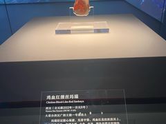 -北京大葆台遗址博物馆