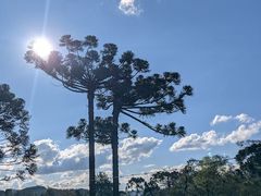 -维乐口腔医院(福清院)
