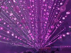 -天津梵高星空艺术馆(天河城旗舰店)