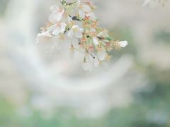 -杭州少年儿童公园