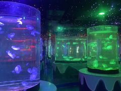 -太奥幻太奇海洋馆
