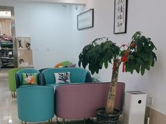 -北京观赏动物医院·24小时大型综合·猫专科·异宠专科