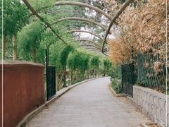-红螺寺