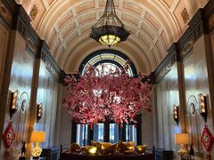 -上海和平饭店-华懋阁 The Cathay Room