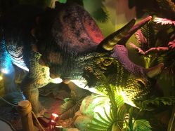 -恐龙探索乐园(磁器口店)