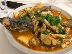-煲来饱去冷水鱼