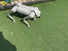 -满天星幼儿园(北京太阳宫园)