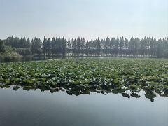 -天目湖山水园