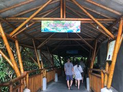 -海口观澜湖火山温泉谷