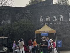 -秀丽东方