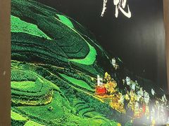 -云海肴·汽锅鸡·云南代表菜(丁香国际店)
