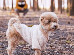 -广富林郊野公园