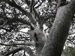-少华山国家森林公园