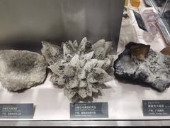 -中国地质博物馆