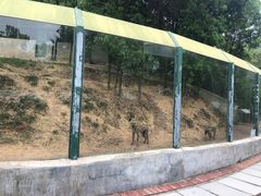 -泉州海丝野生动物世界