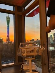 -baby bella小贝拉母婴护理中心(杭州凯宾斯基酒店)