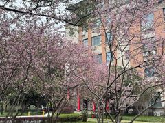 -浙江大学(玉泉校区)