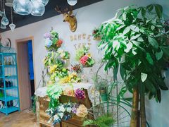 -共舞时光猫咖·狗咖(新街口店)