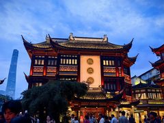 -绿波廊(豫园店)