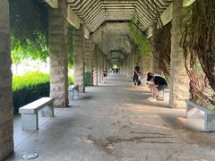 -黄河小浪底水利枢纽风景区