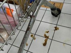 -农工商超市(金沙江路店)