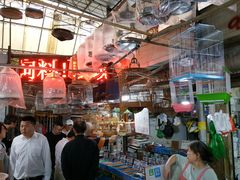-万商花鸟市场