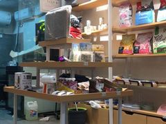 -宠物梦想家(日月豪庭店)