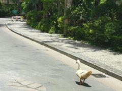 -广州锦绣香江度假别墅