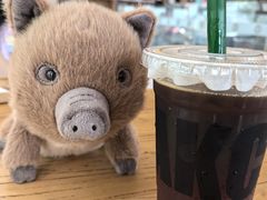 -了不起的考拉咖啡店(高新店)